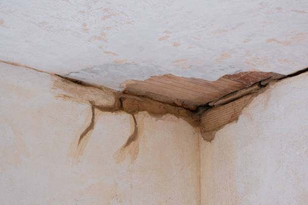 Best Commercial water damage restoration  in Gallitzin, PA